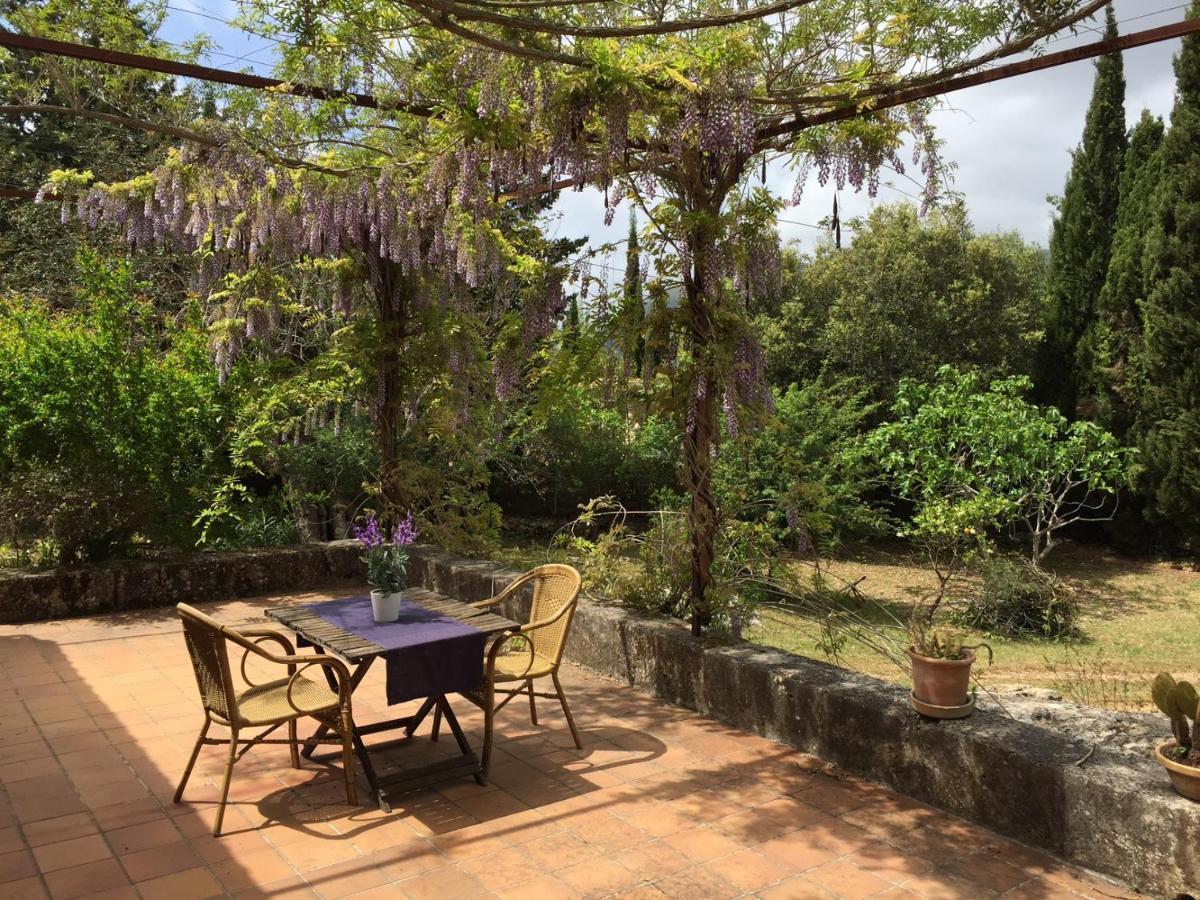 Finca Can Trui Teresa Pollenca Bagian luar foto