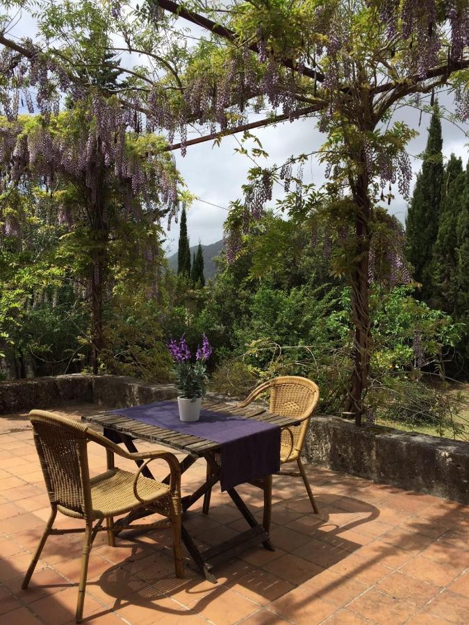 Finca Can Trui Teresa Pollenca Bagian luar foto